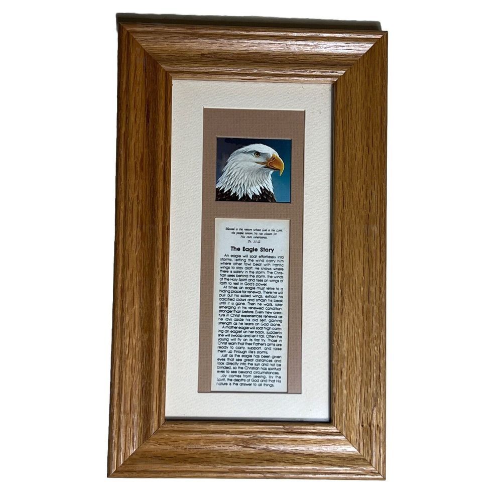 Vintage Framed The Eagle Story Christian Based Vertically Framed
